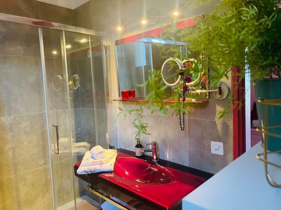 Rose House - Apartmán Lugano
